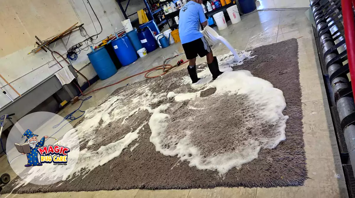 Area Rug Cleaning Experts Fort Lauderdale