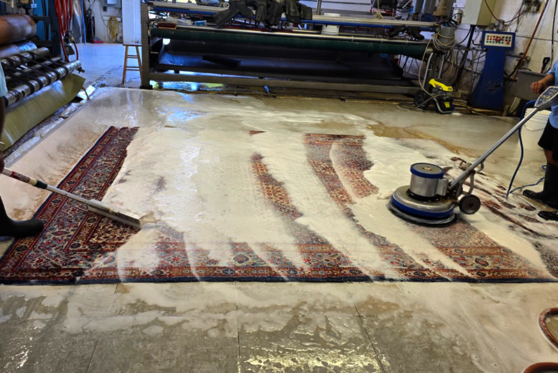 Rug Pet Odor Removal Service FL