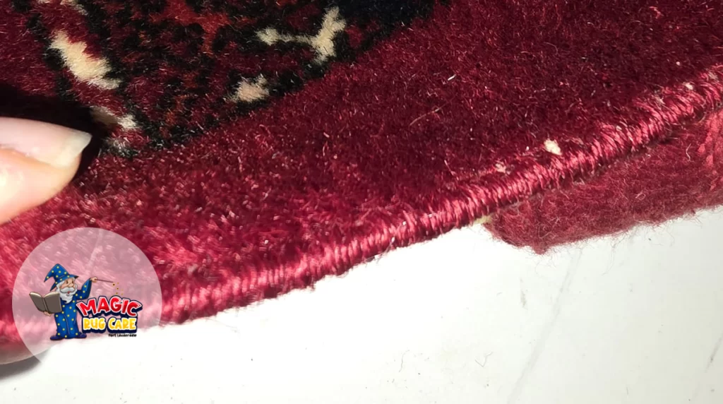 Antique Rug Repair Expert Fort Lauderdale