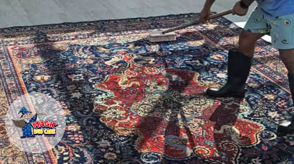 Expert Rug Dusting Fort Lauderdale