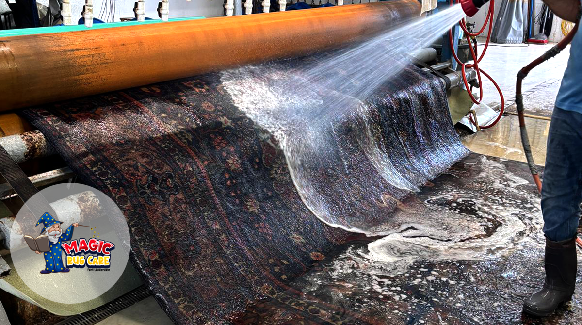 Oriental Rug Pet Stain Cleaning Fort Lauderdale