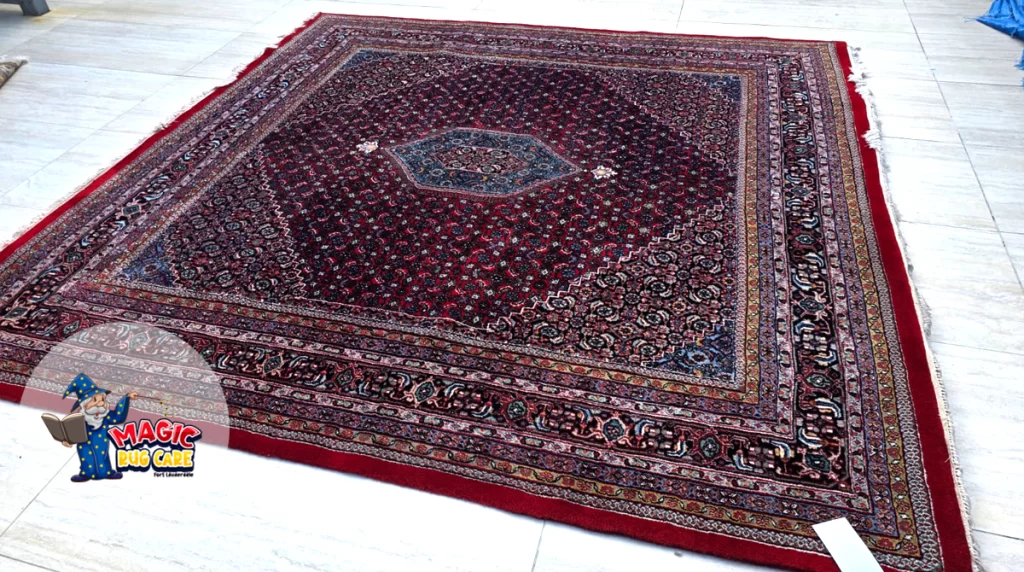 Rug Color Correction Experts Fort Lauderdale
