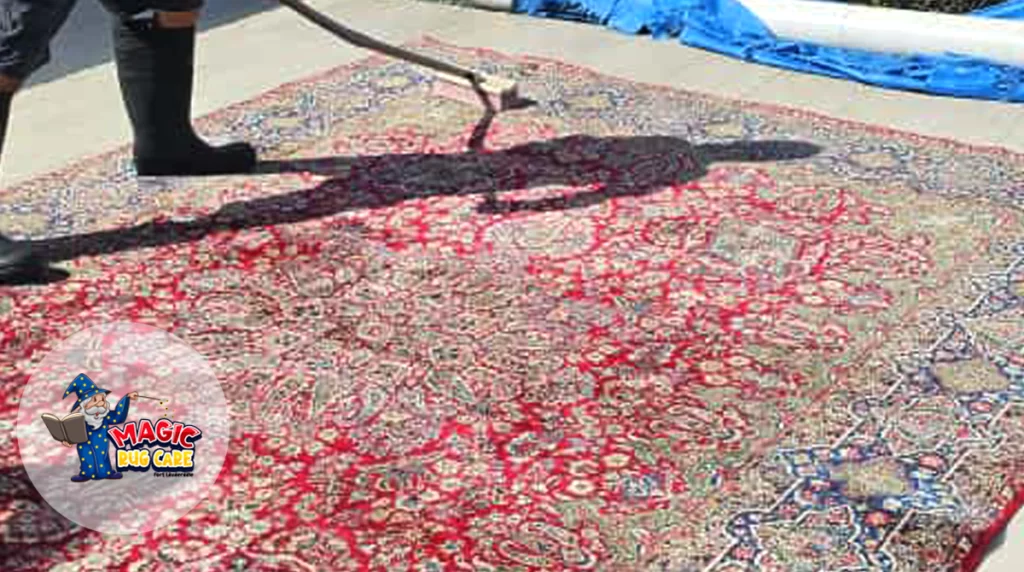 Rug Dusting Process Florida