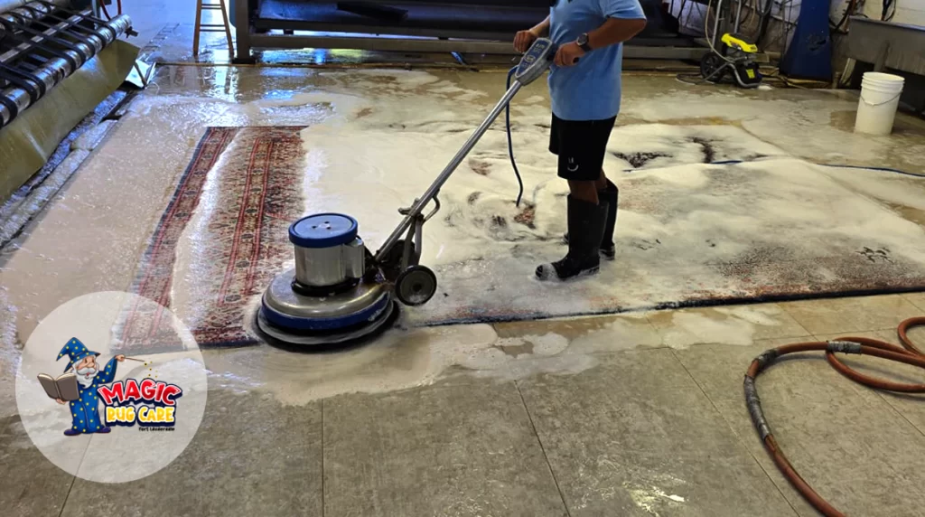 Rug Pet Odor Removal Expert Fort Lauderdale