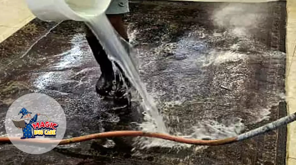 Area Rug Washing Specialists Florida