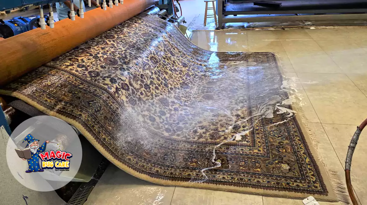 Expert Rug Washing Florida
