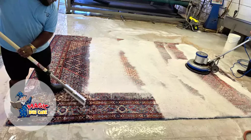 Modern Rug Clean Restore Fort Lauderdale