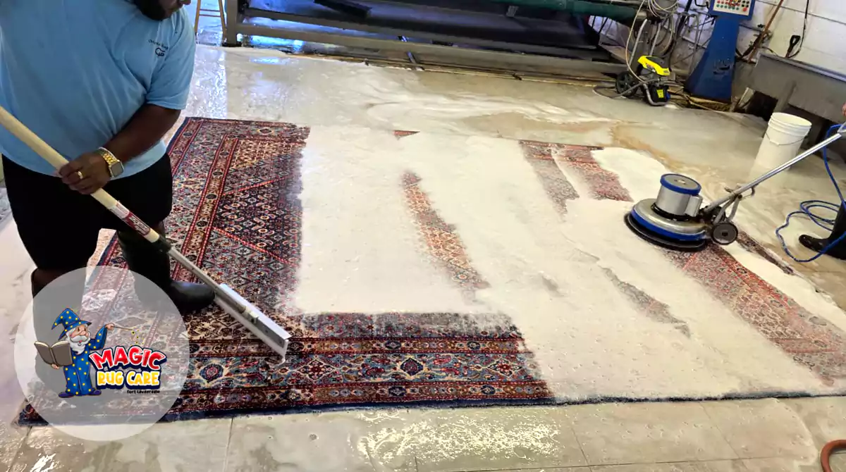 Modern Rug Clean Restore Fort Lauderdale