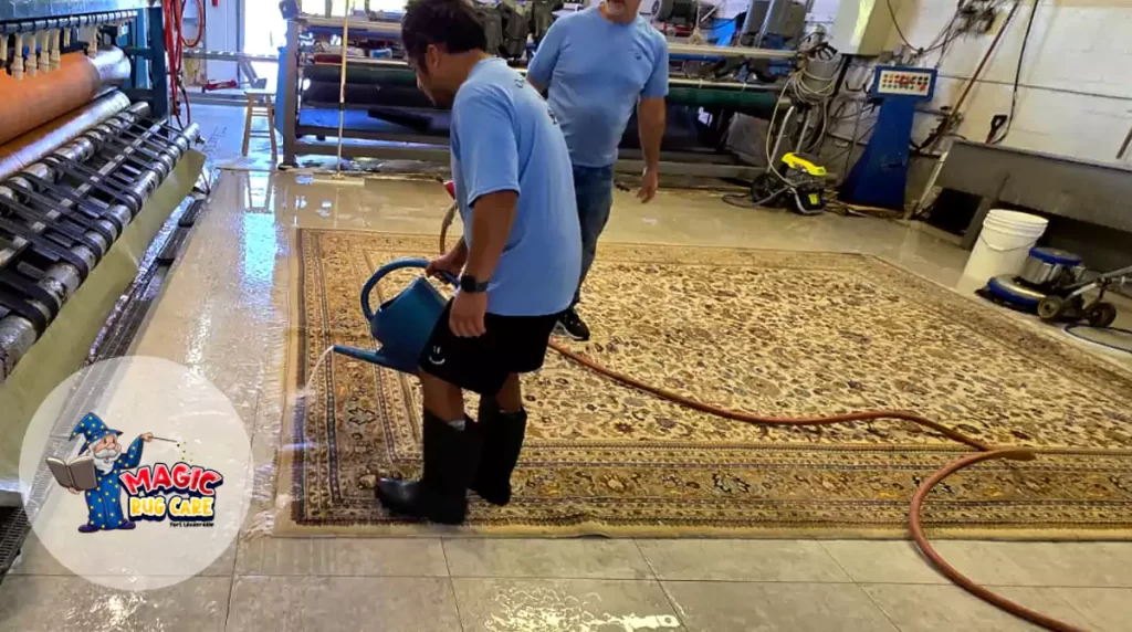 Modern Rug Clean Specialists Fort Lauderdale